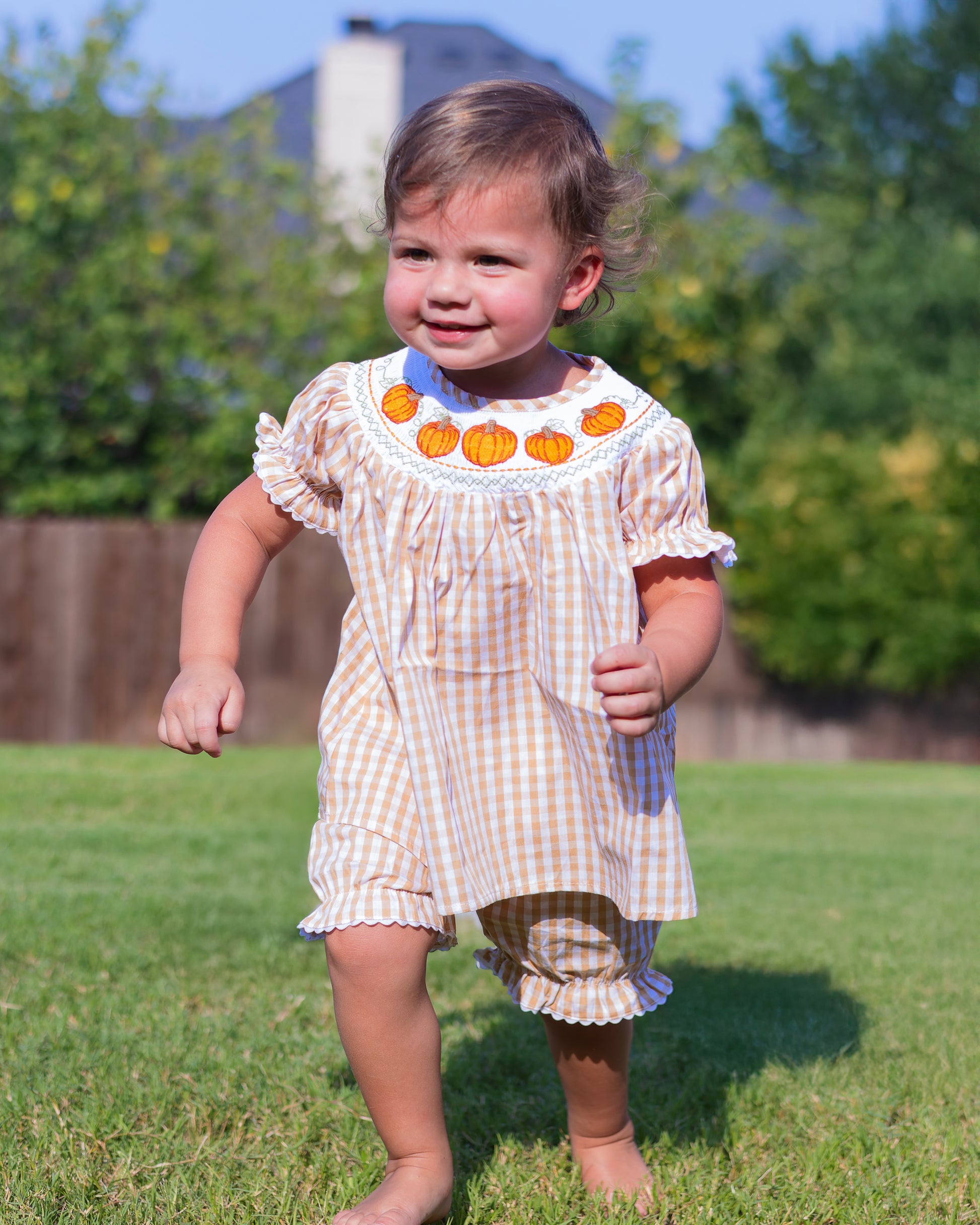 Light Brown Gingham Pumpkin Vine Dress and Bloomer Set